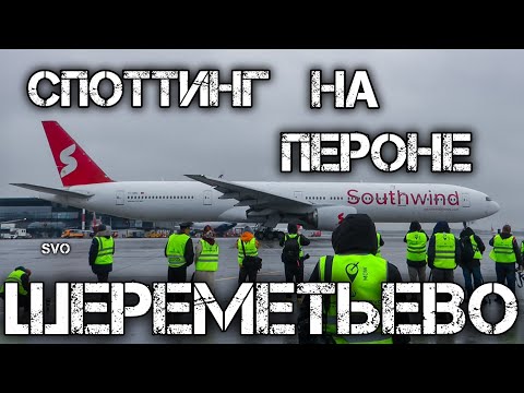 Видео: Споттинг в Шереметьево на лётного поле и на пероне часть 1