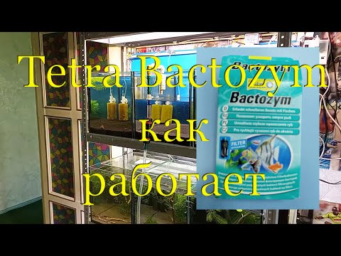 Видео: Tetra Bactozym: быстрый запуск / перезапуск аквариума, креветочника. Как работает добавка.