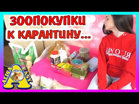 Видео: ЗООПОКУПКИ / ЗАПАСАЕМСЯ КОРМАМИ ДЛЯ ХОМКИ - ПОКУПКИ В ЗООМАГАЗИНЕ / Alisa Easy Pets