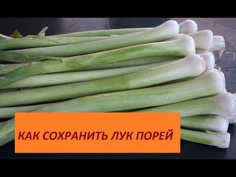 Видео: 266.КАК СОХРАНИТЬ ПОРЕЙ, ТРИ СПОСОБА ХРАНЕНИЯ