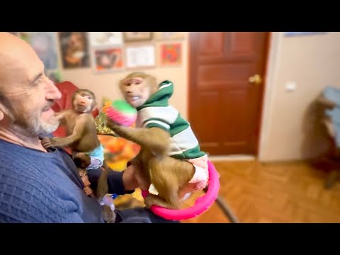 Видео: Люська пришла домой и моментально устроила БОЛЬШОЙ БАРАБУМ!