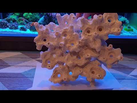 Видео: декорация из биокерамики.