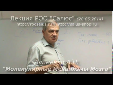 Видео: Молекулярные механизмы мозга (А.Н. Алименко)