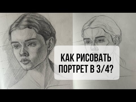 Видео: Как рисовать портрет в 3/4? Как строить, находить нужные пропорции и ухватить схожесть #портрет