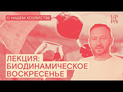 Видео: Лекция: Биодинамическое воскресенье в Санкт-Петербурге