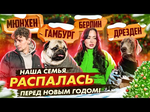 Видео: НАША СЕМЬЯ РАСПАЛАСЬ ПЕРЕД НОВЫМ ГОДОМ...