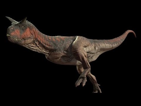 Видео: Мемное и эпичное выживание за карно в the cursed isle