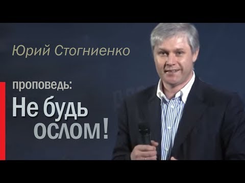 Видео: Не будь ослом! - проповедь пастора Юрий Стогниенко