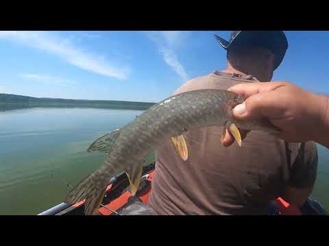 Видео: Открытие летнего сезона 2024.