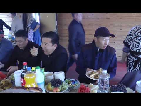 Видео: Андағұлдар бірлестігі 2025