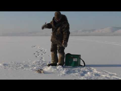 Видео: ЗА ОКУНЕМ НА ОЗЕРО ГУСИНОЕ Р.БУРЯТИЯ 01.01.2017 ГОДА
