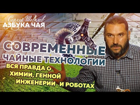 Видео: Азбука Чая. Технология производства чая