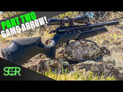 Видео: ЛУЧШИЙ БЮДЖЕТНЫЙ PCP В 2022 ГОДУ! - ОБЗОР Gamo Arrow - ТОЧНОСТЬ НА 50 ЯРДАХ - Chrony #s и многое ...