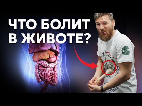 Видео: Почему БОЛИТ ЖИВОТ? Симптомы и диагностика.