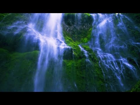 Видео: Михаил Брацлавский.Суккот 5786.Реки воды живой.