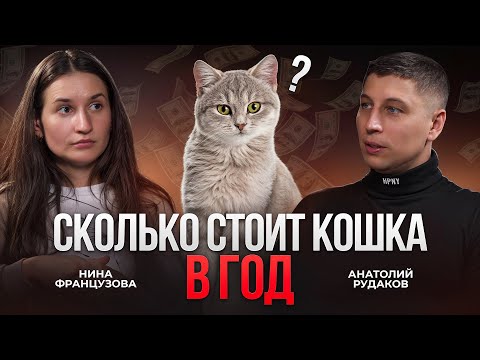 Видео: Сколько стоит счастливая кошка? Полный гид для будущих и нынешних владельцев с Ниной Французовой