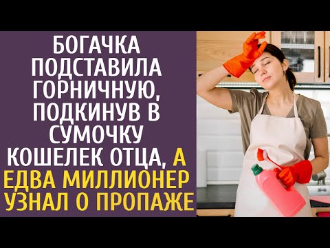 Видео: Богачка подставила горничную, подкинув в сумочку кошелек отца, а едва миллионер узнал о пропаже