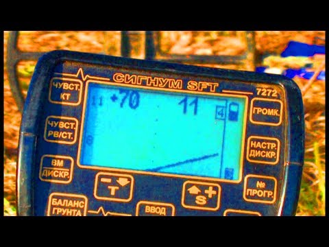 Видео: ЧТО ПОКАЗЫВАЕТ ГОДОГРАФ НА МЕТАЛЛОИСКАТЕЛЕ АКА СИГНУМ?! Кладоискатель Белый Копатель