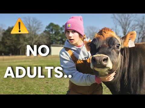 Видео: Управляем фермой САМОСТОЯТЕЛЬНО | Один дома..