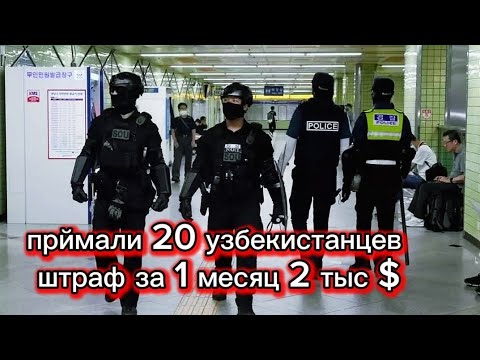 Видео: 20 летняя Таиландка погибла при задержании, упала с третьего этажа и умерла ⚰️. #жизньвюжнойкорее