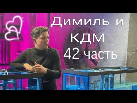Видео: КДМ и Димиль 42 часть