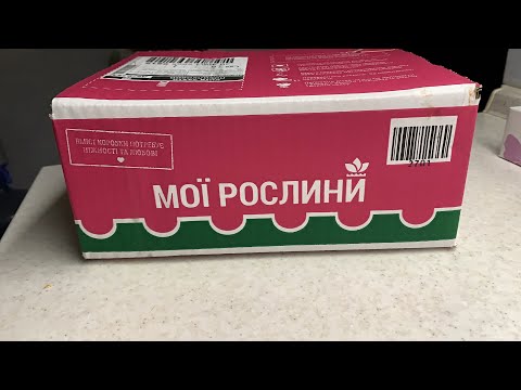 Видео: РОЗПАКОВКА З ФЛОРІУМА‼️‼️‼️НОВЕ МОЄ ЗАХОПЛЕННЯ🌱