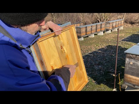 Видео: Утеплення бджолиних сімей. Beekeeping (14.02.2025 р.)
