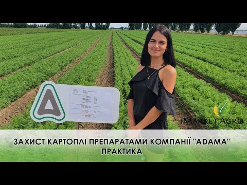 Видео: Система захисту картоплі препаратами компанії "ADAMA". Практика.