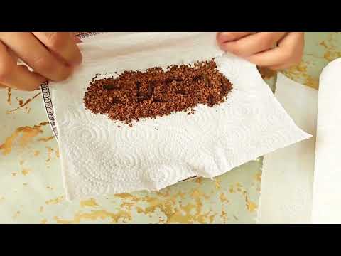 Видео: шыбын шіркейге қарсы