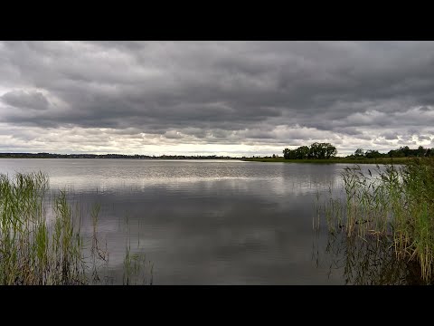 Видео: Торопец
