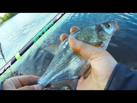 Видео: Mifine Air Spin 1,93 0,2-0,8. Мормышинг, разловил нормально!