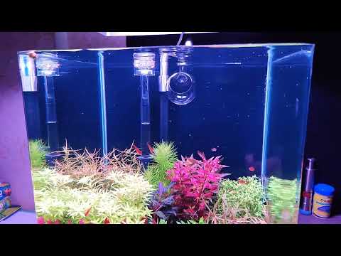 Видео: 116-й день с запуска аквариума. Установка проточный реактор Со2 Миди с байпасом.