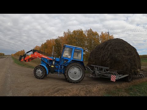 Видео: Трактор МТЗ-82.1 вывозим сено.