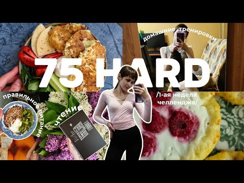 Видео: VLOG 75 HARD DAYS//питание,рецепт пп ватрушек,домашние тренировки,бег,чтение✨️🧘🏻‍♀️