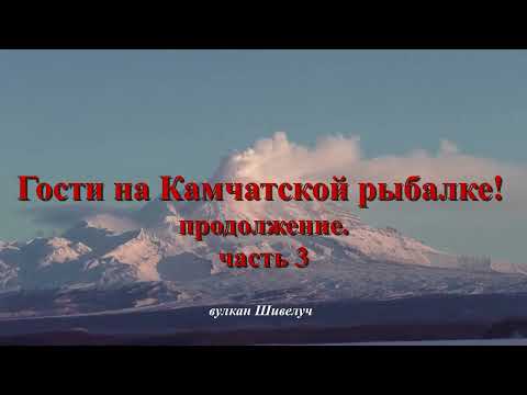 Видео: Гости на Камчатской рыбалке  Азарт не остановить!