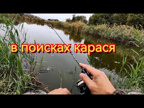 Видео: Мормышинг.В поисках карася.Осенняя рыбалка.