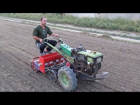 Видео: Посев ячменя мотоблоком!