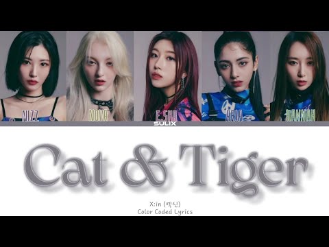 Видео: X:IN-Cat & Tiger(перевод-кирилизация/Color Coded Lyrics)