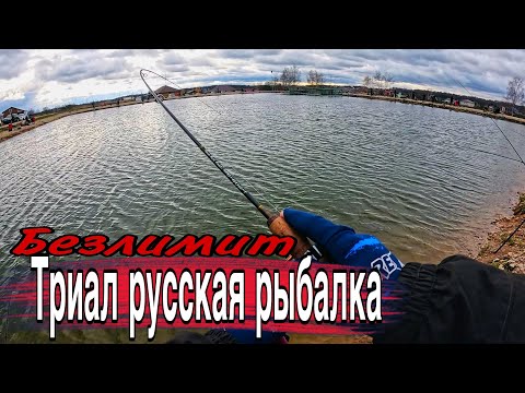 Видео: ПОЙМАТЬ ФОРЕЛЬ ПРОСТО Триал русская рыбалка  Ловля форели на спиннинг