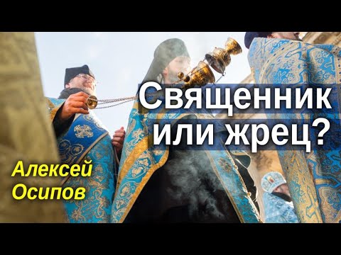 Видео: Священник или жрец?