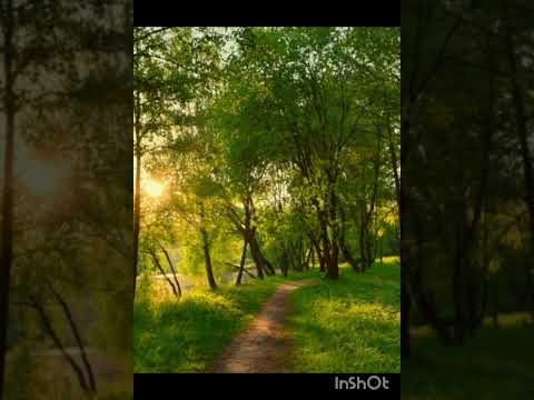 Видео: пусть всё прошло