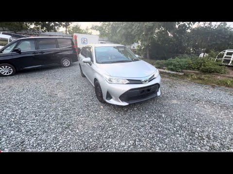 Видео: Toyota Corolla Fielder 2018 год 2WD