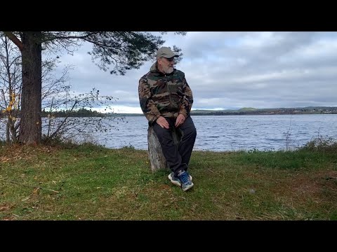 Видео: Жизнь в Швеции. На даче в Октябре.