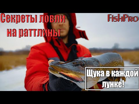 Видео: Как ловить щуку на раттлины со льда?