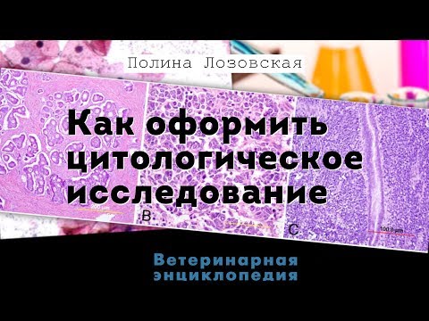 Видео: Оформление цитологических заключений