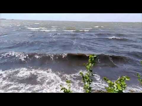 Видео: Озеро Песчаное, Бурлинский район. Алтай.