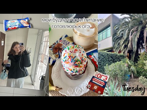 Видео: мои будни в Сочи/питание/готовлюсь к огэ🤌🏽