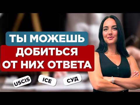 Видео: ВСЕ варианты что МОЖНО сделать чтобы попасть в судебную систему