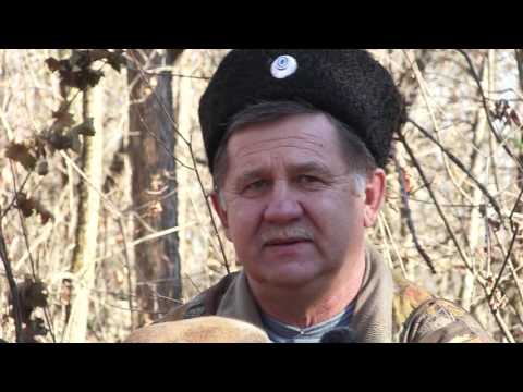 Видео: Охотничьи истории. Сезон 3. Голоса Челбасского леса