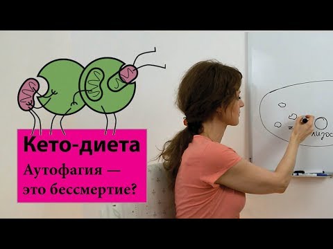 Видео: Аутофагия - путь к бессмертию?